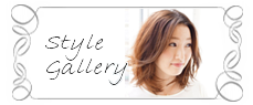 style gallery